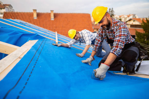 Best Roof Maintenance Services  in Goulding, FL
